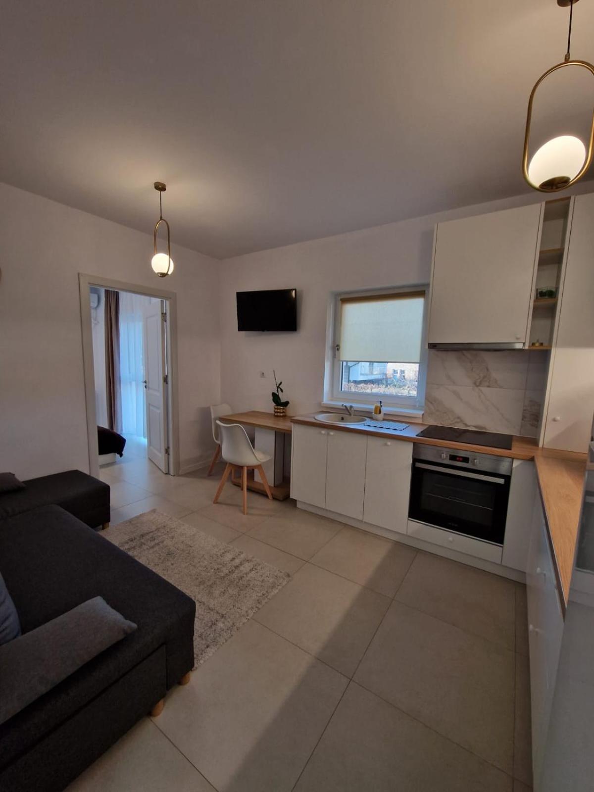 Cora Apartment Baia Mare Buitenkant foto